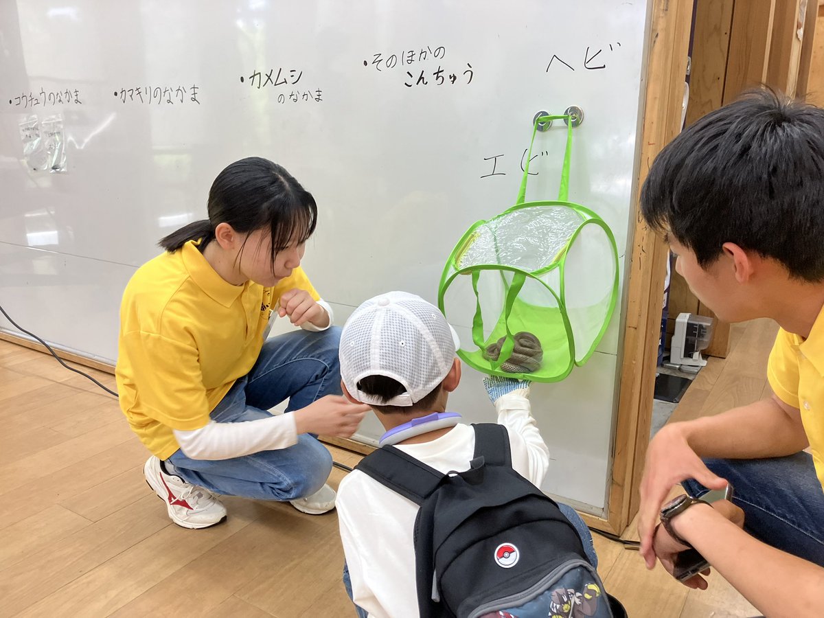 icon_shimane's tweet photo. 島大松江キャンパス内で子どもたちと昆虫採集をしました！���参加いただいた皆様ありがとうございました！

身近な自然の中にも「ワクワク」が沢山あります！またみんなで虫採りしよーね！

#島根大学
#あいこんで自然と繋がろう https://t.co/WTzoLXILQn