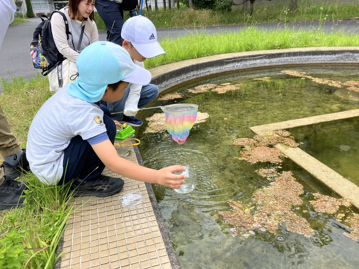 icon_shimane's tweet photo. 島大松江キャンパス内で子どもたちと昆虫採集をしました！���参加いただいた皆様ありがとうございました！

身近な自然の中にも「ワクワク」が沢山あります！またみんなで虫採りしよーね！

#島根大学
#あいこんで自然と繋がろう https://t.co/WTzoLXILQn