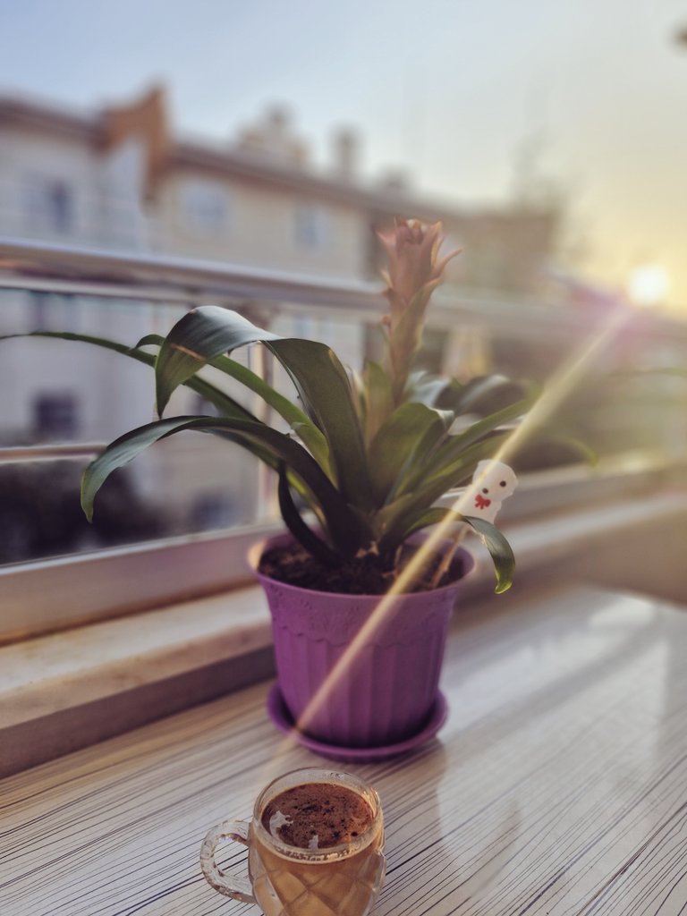 Günaydın.🥰🙏💜☕️