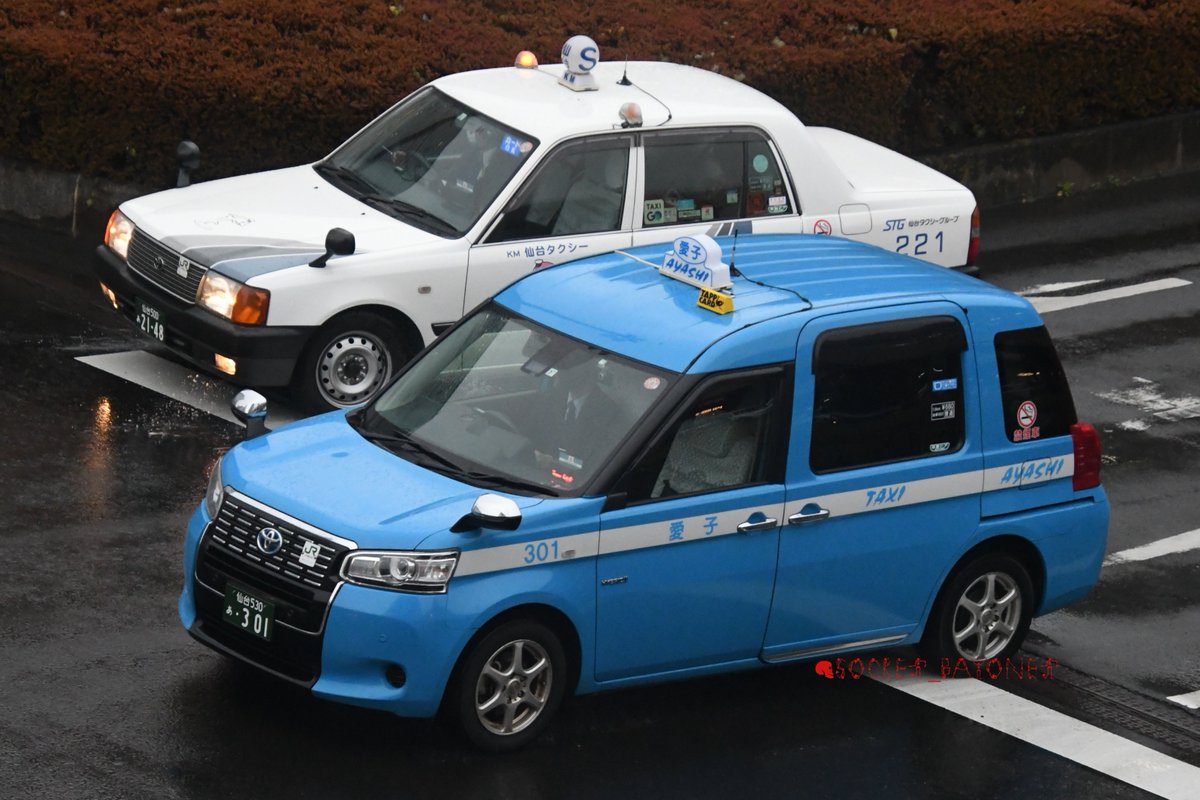 TAXI 恐い イタリア製 赤系鼈甲柄 サングラス タクシー TAXI 恐い イタリア製 赤系鼈甲柄 サングラス タクシー