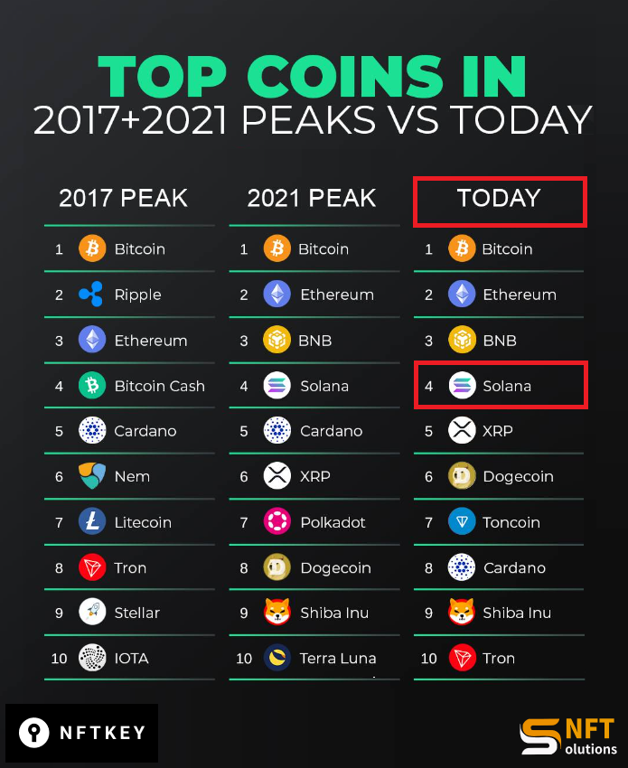 solutionsnftio's tweet photo. Evolution of Top Cryptocurrencies: 2017, 2021, and Today 📈 https://t.co/iG3JYDNuIp