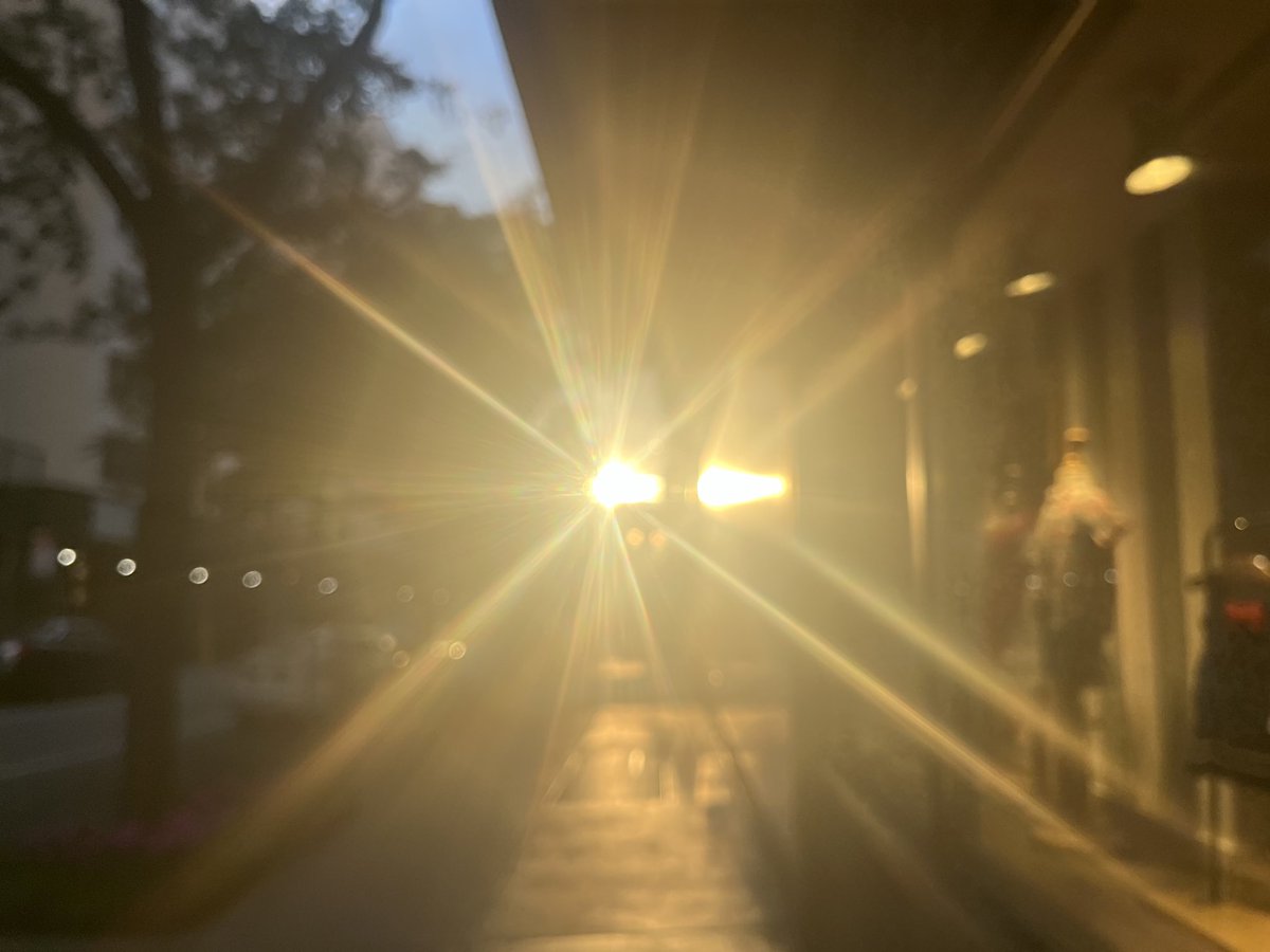 Evening light