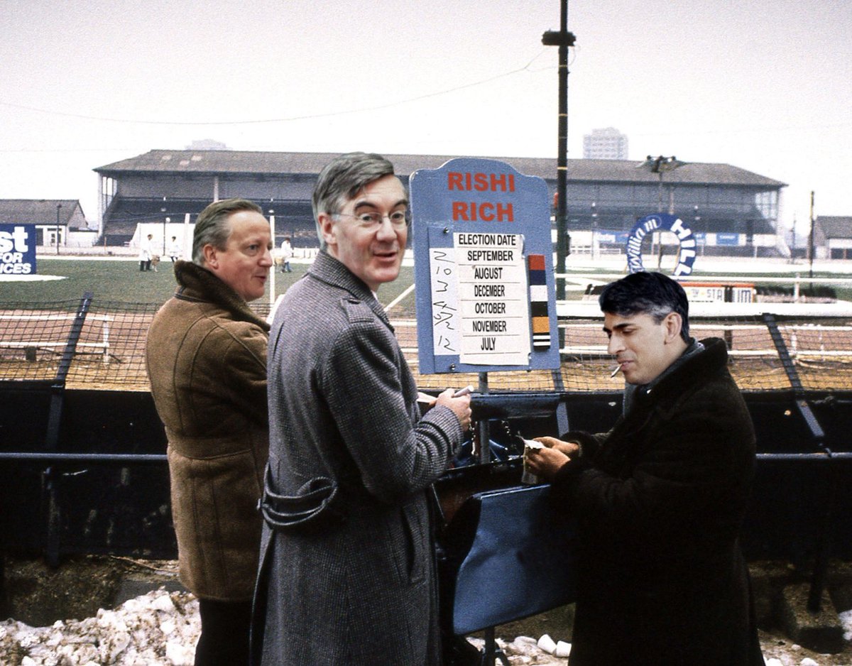 Spivs they are. Get rid of them and then investigate