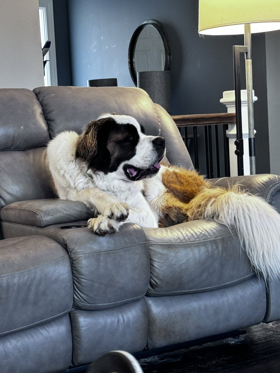 Dave Growl tweet media