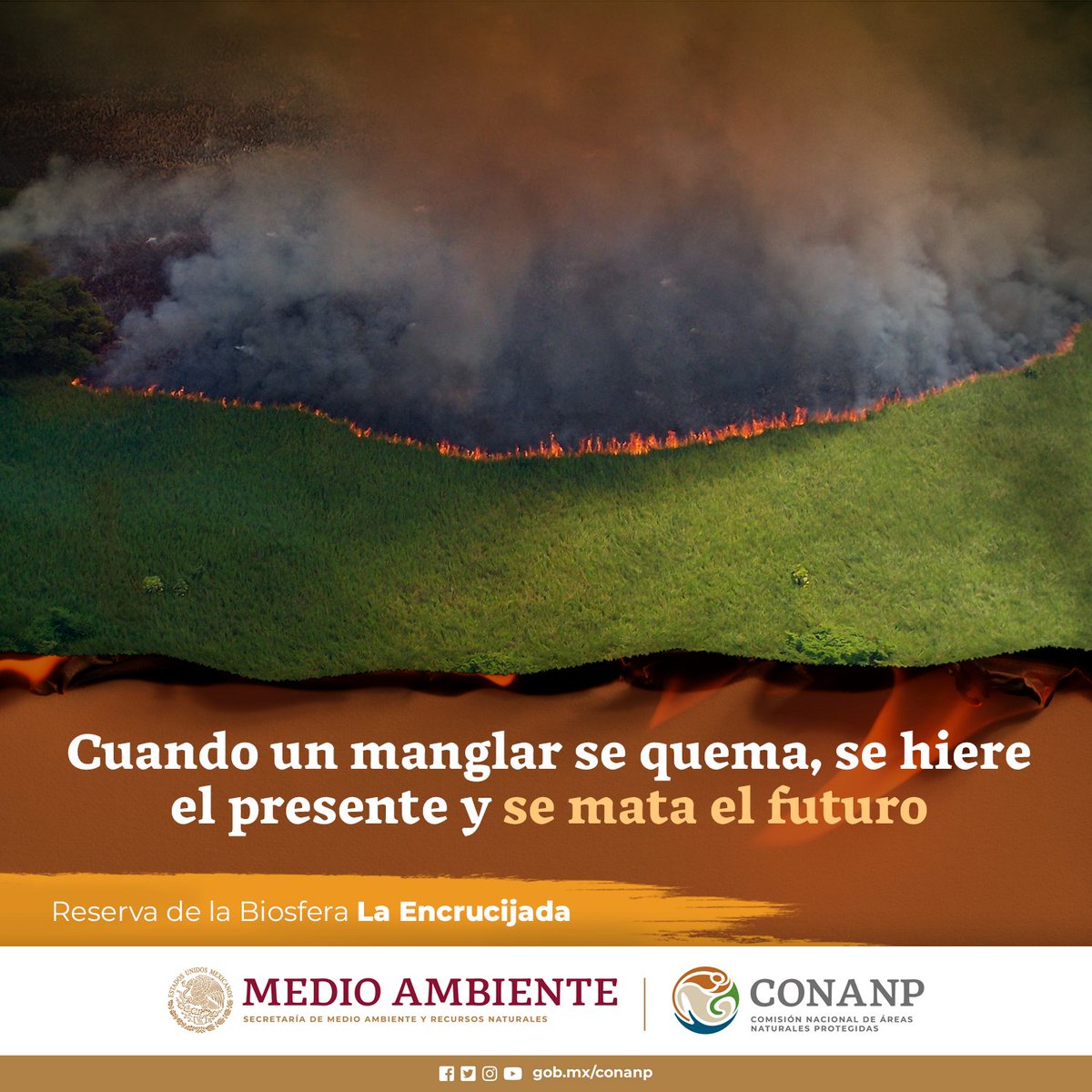CONANP tweet media