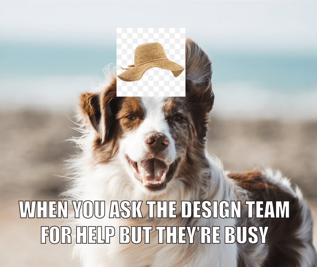 USALinkSystem's tweet photo. Forget Picasso (or your designer :smile: ), thank God we have #Canva tool to make our design dreams a reality 🎨
#designgenius #digitaldesign https://t.co/hERteLRQwH
