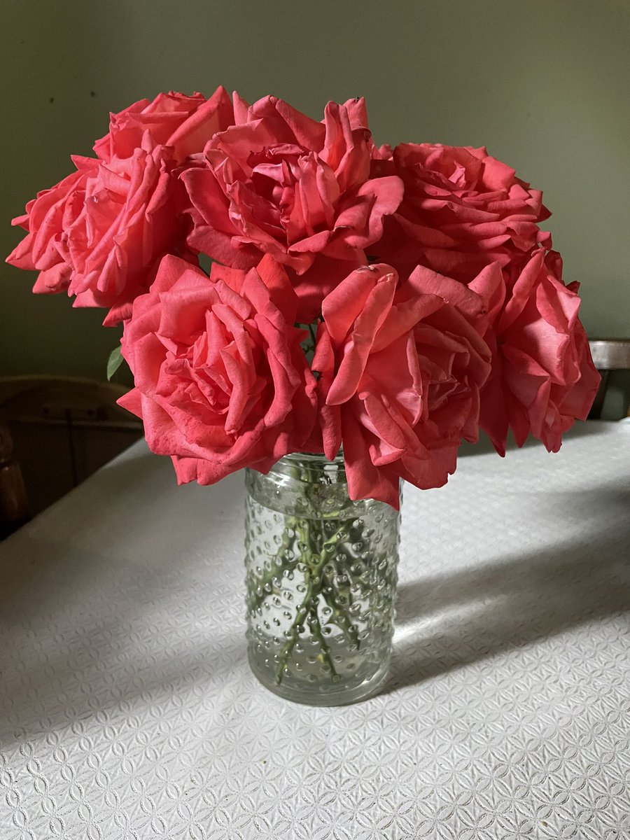 KendraBinx's tweet photo. Made a nice bouquet from the blooms on my mom’s rose bush. 

Fun fact: it was in said rose bush now 9 years ago that we first saw my Abbie, lol https://t.co/Ej5eMsiCJk