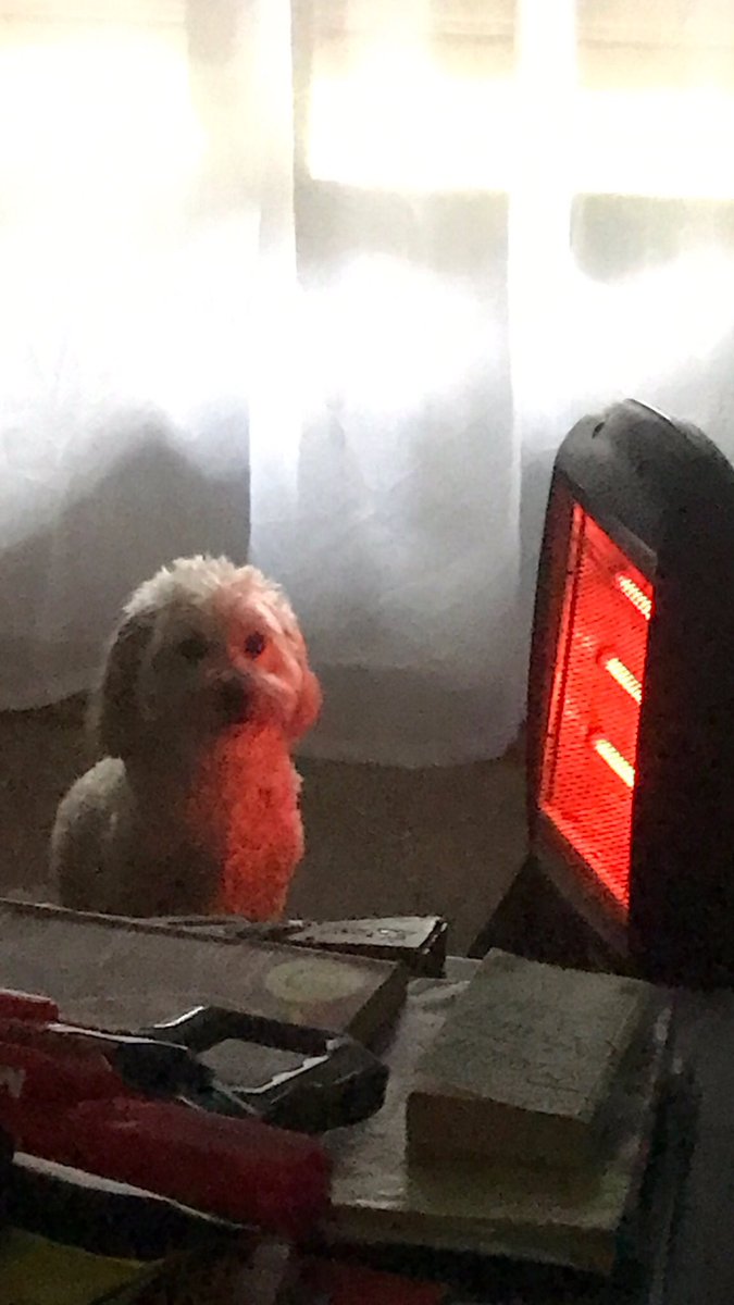 imagínate hablar mal de mí y que yo esté en mi pieza así