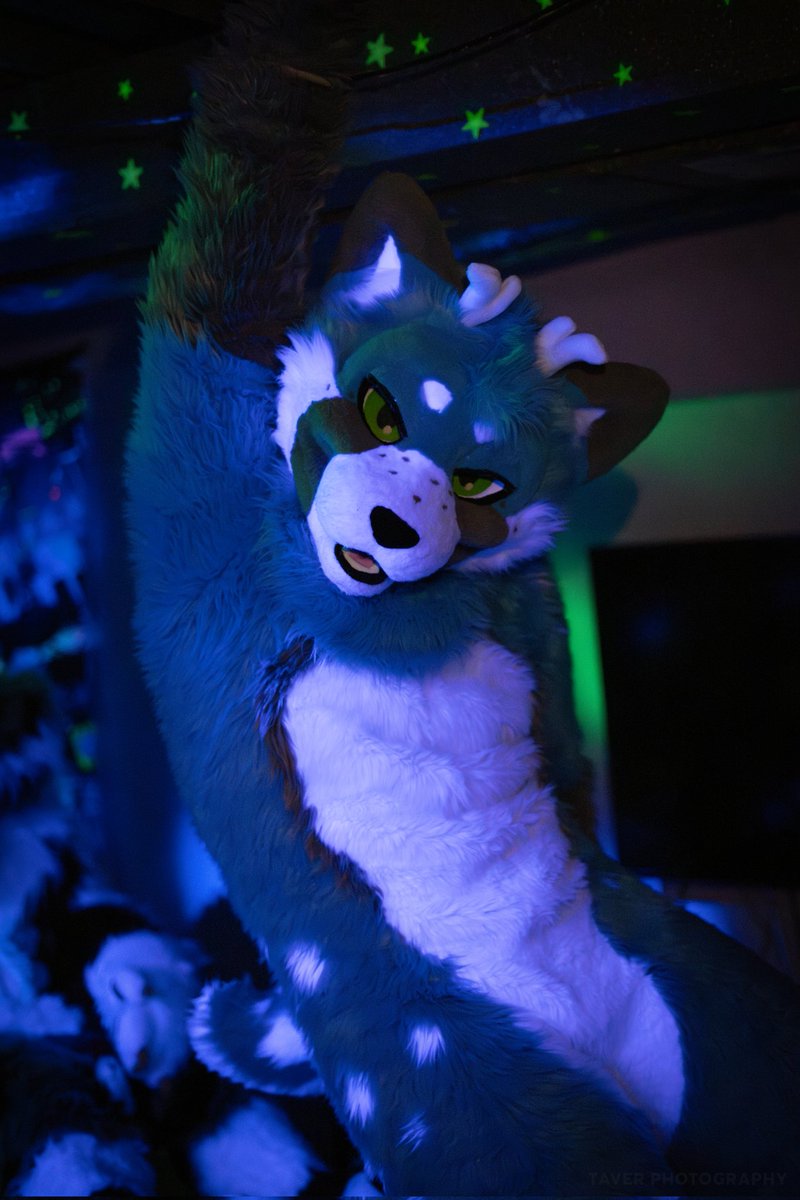 Got my eyes on some new prey ò.ó

Great picture by <a href="/TaverSaber/">Taver</a>