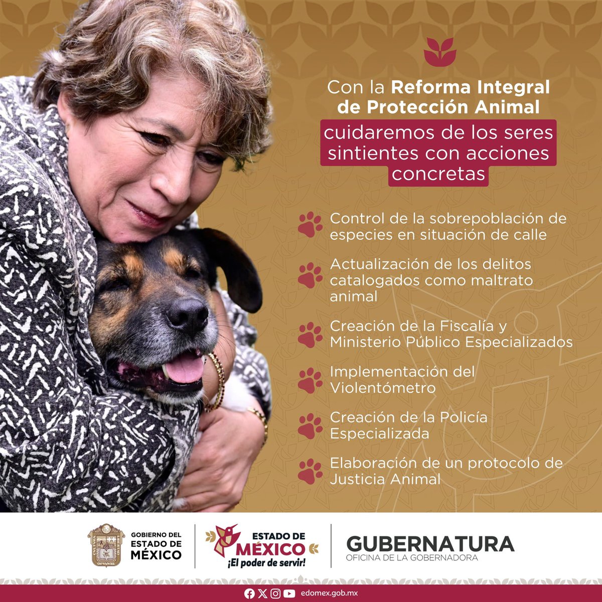 ⚖️ La Reforma Integral a favor del bienestar animal marca un antes y un después en la protección y cuidado de las queridas y queridos 🐱 michis, 🐶 lomitos y todas las criaturas sintientes 🐾 que, en un futuro próximo, contarán con un marco normativo que brindará por primera vez,