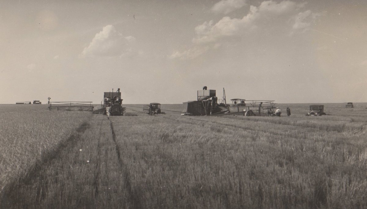 Mitch Meyer tweet media