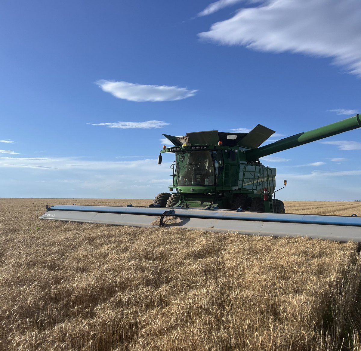 Mitch Meyer tweet media