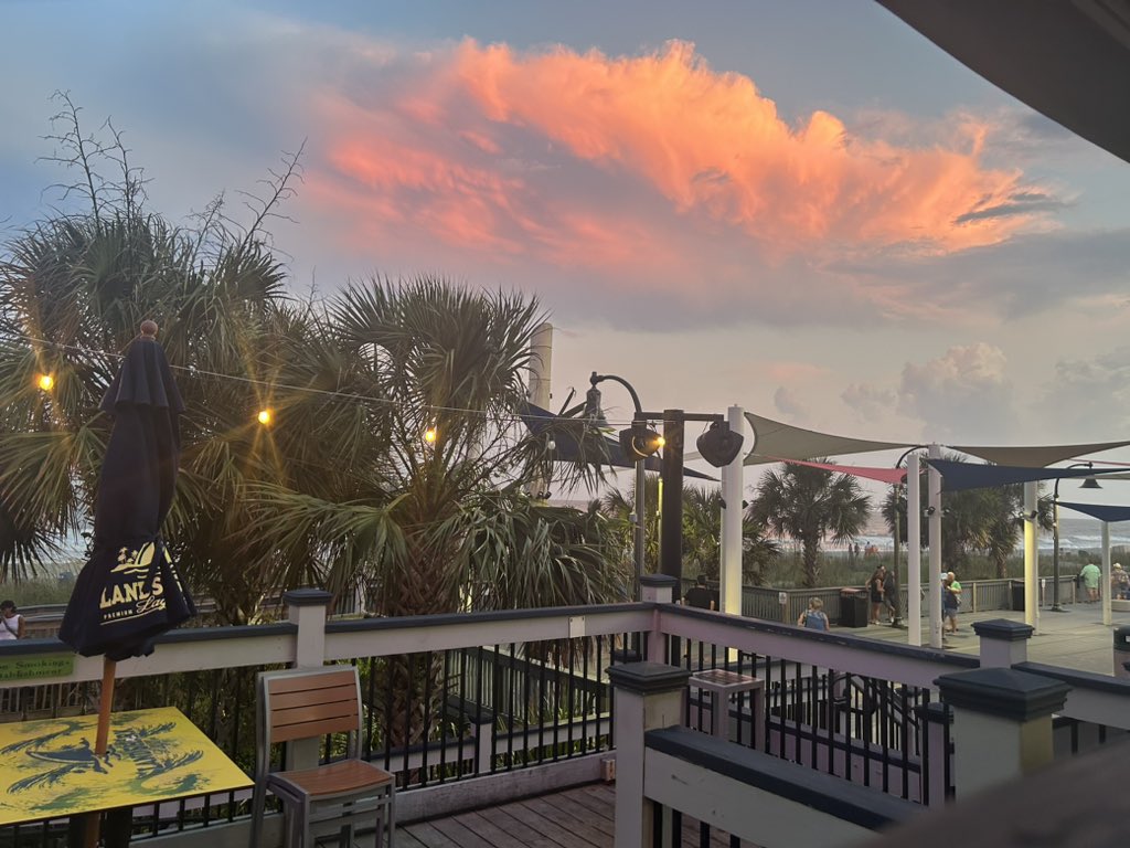 Christina Pedersen tweet media