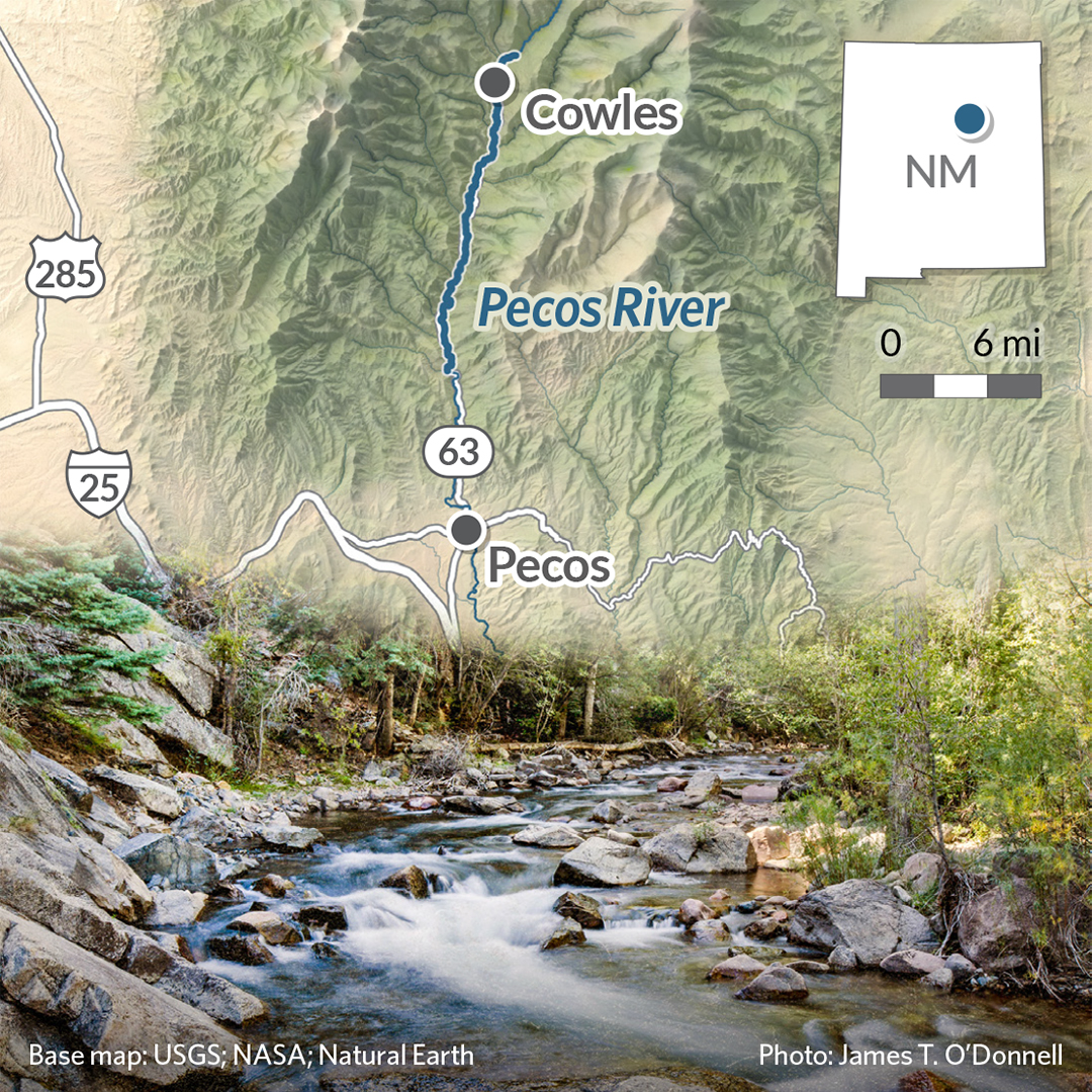 pewenvironment's tweet image. June is #NationalRiversMonth!

These waters provide critical habitat, clean drinking water, climate change resilience, and more.

Here are just a few examples of rivers from across the country people are working to restore and protect: 
pew.org/3V2tX45?utm_ca…