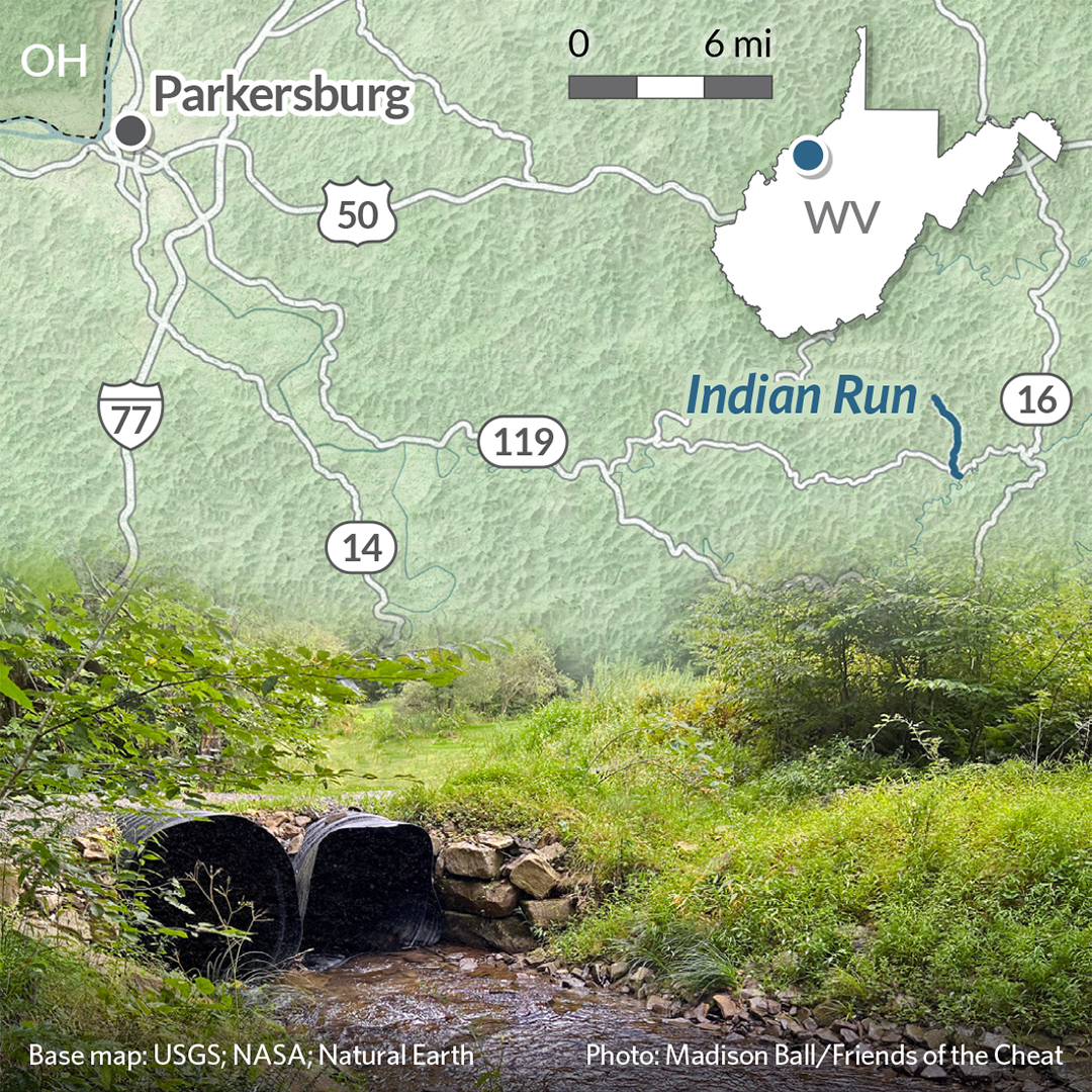 pewenvironment's tweet image. June is #NationalRiversMonth!

These waters provide critical habitat, clean drinking water, climate change resilience, and more.

Here are just a few examples of rivers from across the country people are working to restore and protect: 
pew.org/3V2tX45?utm_ca…