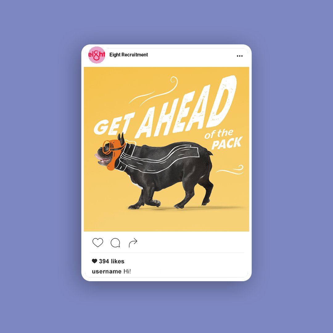 headjamcreative's tweet image. Greight to revisit this fun campaign and website refresh we did for Eight Recruitment!

🐶 Case study hubs.la/Q02xG_cG0

Photography, filming, illustration, animation, web dev, design, project management and a bucket load of sparkle brought this one to life. ✨