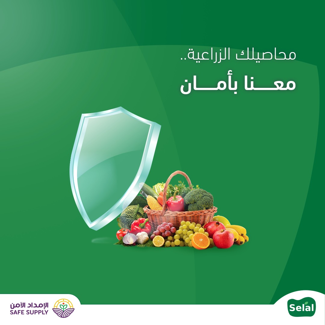 Selal | سلال (@selalksa) on Twitter photo 