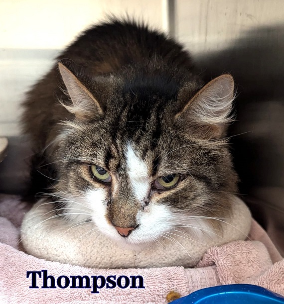 Renee' Martin tweet media