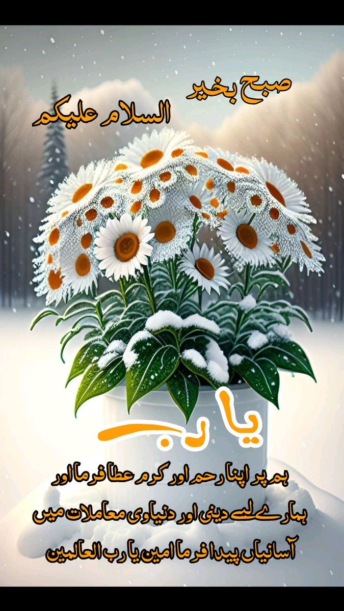 asmajui tweet media