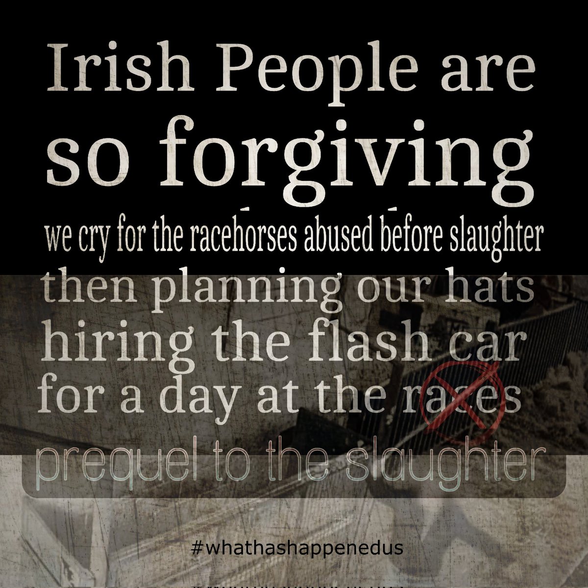 catlowry54's tweet image. #ShannonSideFoods #DAFM #Youbettheydie