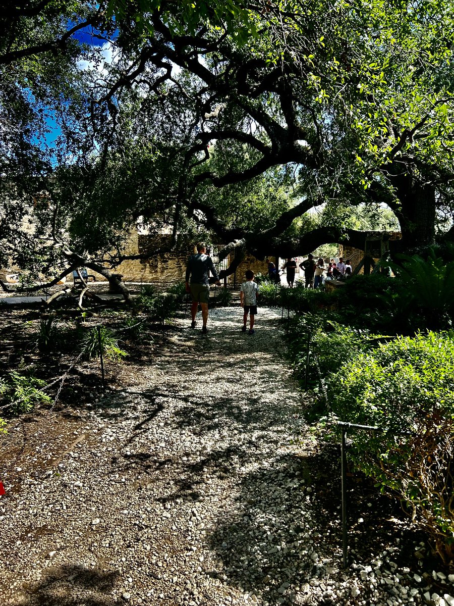 MrGriffisSHS's tweet photo. The big road trip to San Antonio. The kids were awesome in the car and we checked out the Alamo plus the riverwalk. But I think the most fun they had was swimming at the hotel! Tomorrow Sea World! #griffcrew #texasvacation https://t.co/64SvsIlYid