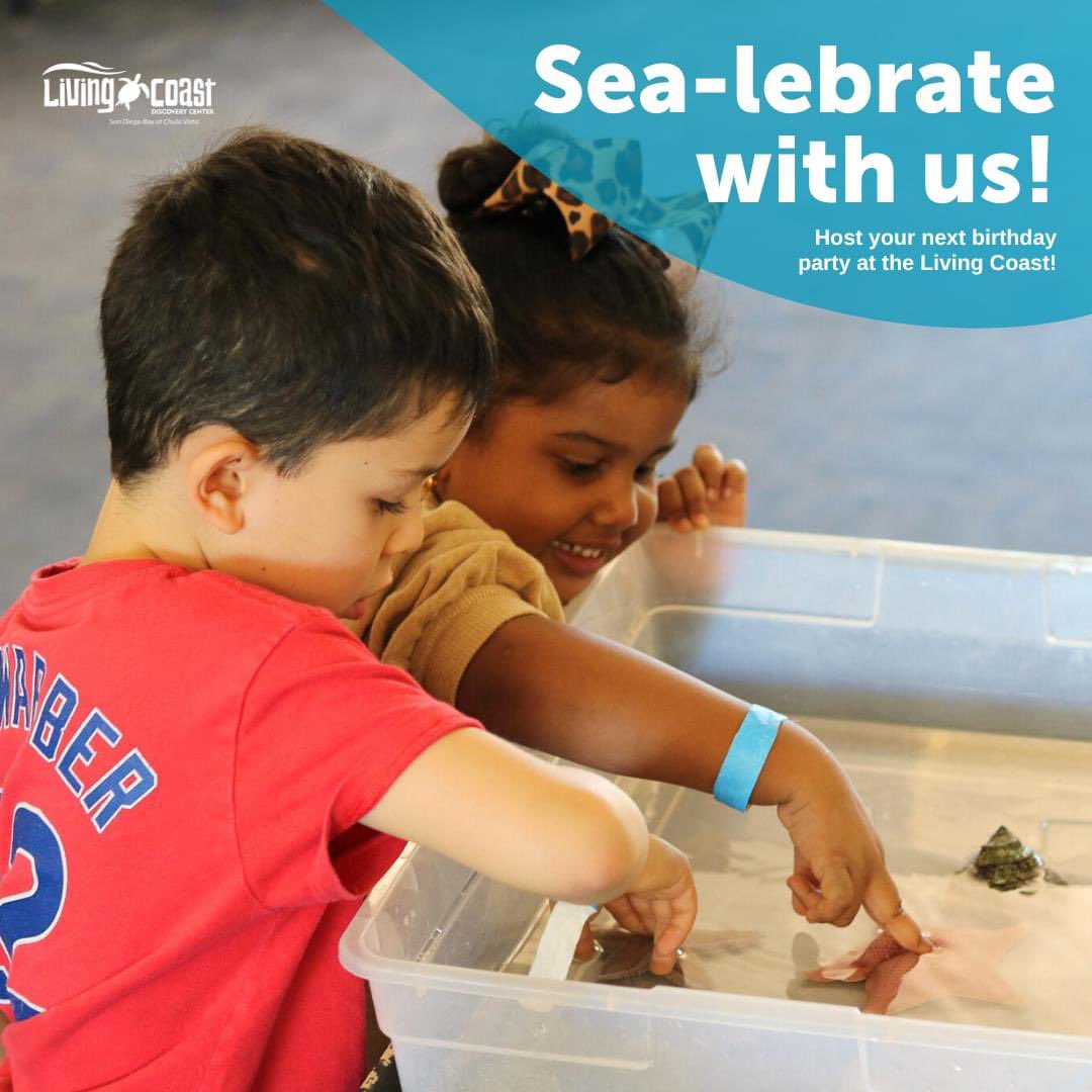 Have a turtle-ly awesome birthday at <a href="/thelivingcoast/">The Living Coast</a> !

Splash and play on their special day by celebrating with the fascinating animals native to San Diego!

Book your birthday party today: thelivingcoast.org/birthdays