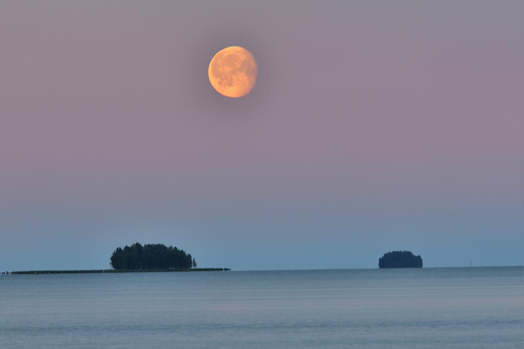 Vähenevä kuu näkyi Oulujärvellä 
25.6.2024. #moon #Finland #Oulujärvi