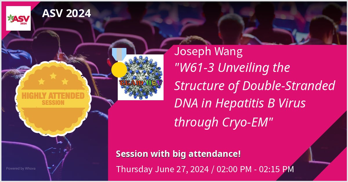 VirusEMLab's tweet image. Come to my talk at ASV 2024 on W61-3  Unveiling the Structure of Double-Stranded DNA in Hepatitis B Virus through Cryo-EM. I promise that you will see pretty virus structures! #ASV2024 #HBV #VirusEMLab
