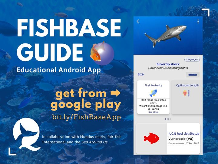 FishBaseProject's tweet image. DYK FishBase is available as an app? 📱 Get it on Google Play and unlock the power of FishBase.org right from your mobile phone! 📲🐟 #FishBaseApp #FishBaseGuide #MarineScience #MobileApp #EducationalApp #IUCNRedList #FirstMaturity #OptimumLength