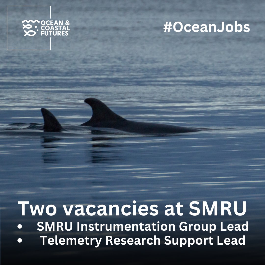 Ocean and Coastal Futures (OCF) (@cf_conf) on Twitter photo 🔔2 x #job: Sea Mammal Research Unit (<a href="/_SMRU_/">SMRU (now posting at Bluesky)</a>, @SMRU_consulting)
▪️Salary: competitive
▪️Location: St Andrews, Scotland
▪️Closes: 12 July
▪️Full details here 👉cmscoms.com/?p=39765
Sign up for #OceanJobs alert emails here 👉 bit.ly/3MiyV7i
#hiring #vacancy 🔔2 x #job: Sea Mammal Research Unit (<a href="/_SMRU_/">SMRU (now posting at Bluesky)</a>, @SMRU_consulting)
▪️Salary: competitive
▪️Location: St Andrews, Scotland
▪️Closes: 12 July
▪️Full details here 👉cmscoms.com/?p=39765
Sign up for #OceanJobs alert emails here 👉 bit.ly/3MiyV7i
#hiring #vacancy