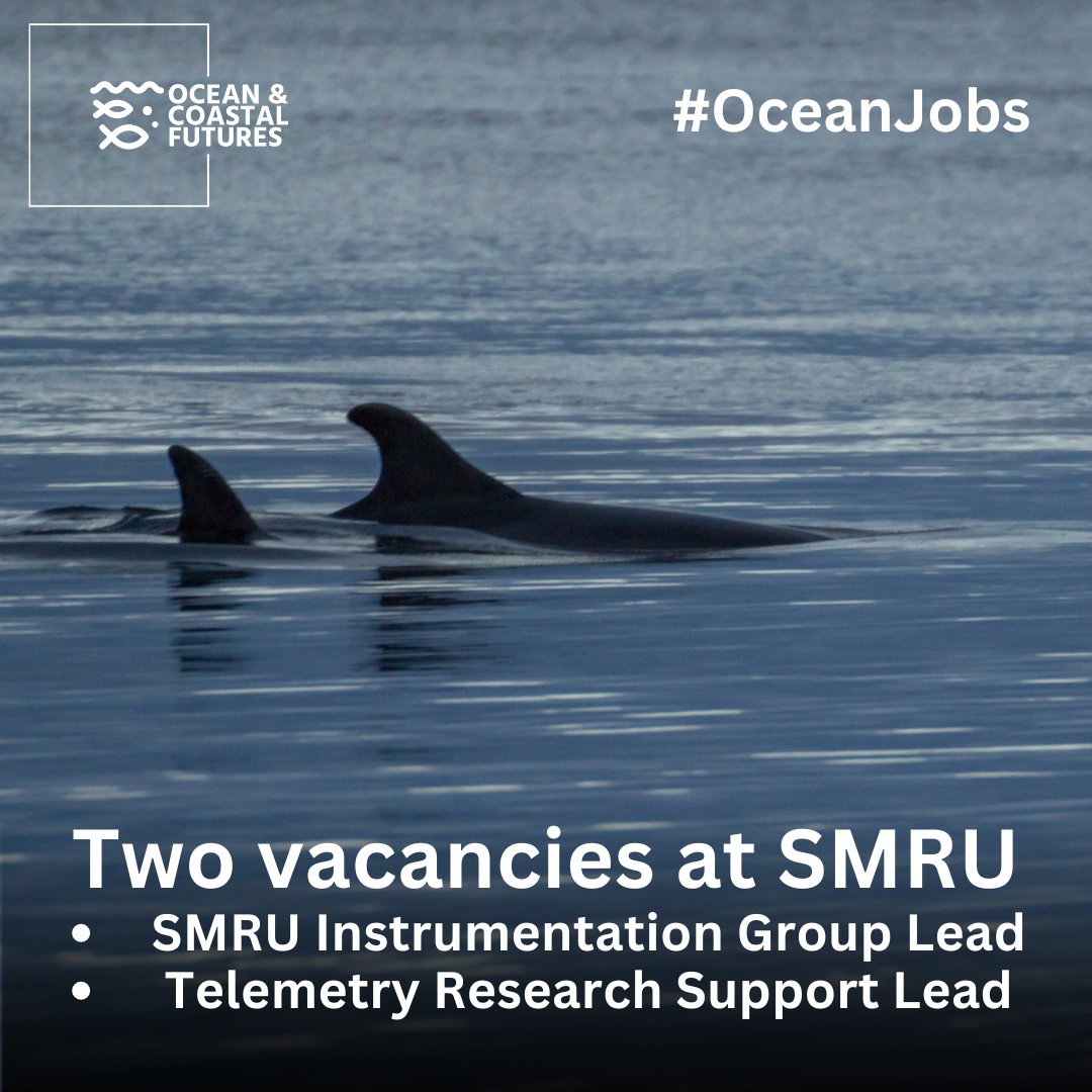 🔔2 x #job: Sea Mammal Research Unit (<a href="/_SMRU_/">SMRU</a>, @SMRU_consulting)
▪️Salary: competitive
▪️Location: St Andrews, Scotland
▪️Closes: 12 July
▪️Full details here 👉cmscoms.com/?p=39765

Sign up for #OceanJobs alert emails here 👉 bit.ly/3MiyV7i

#hiring #vacancy