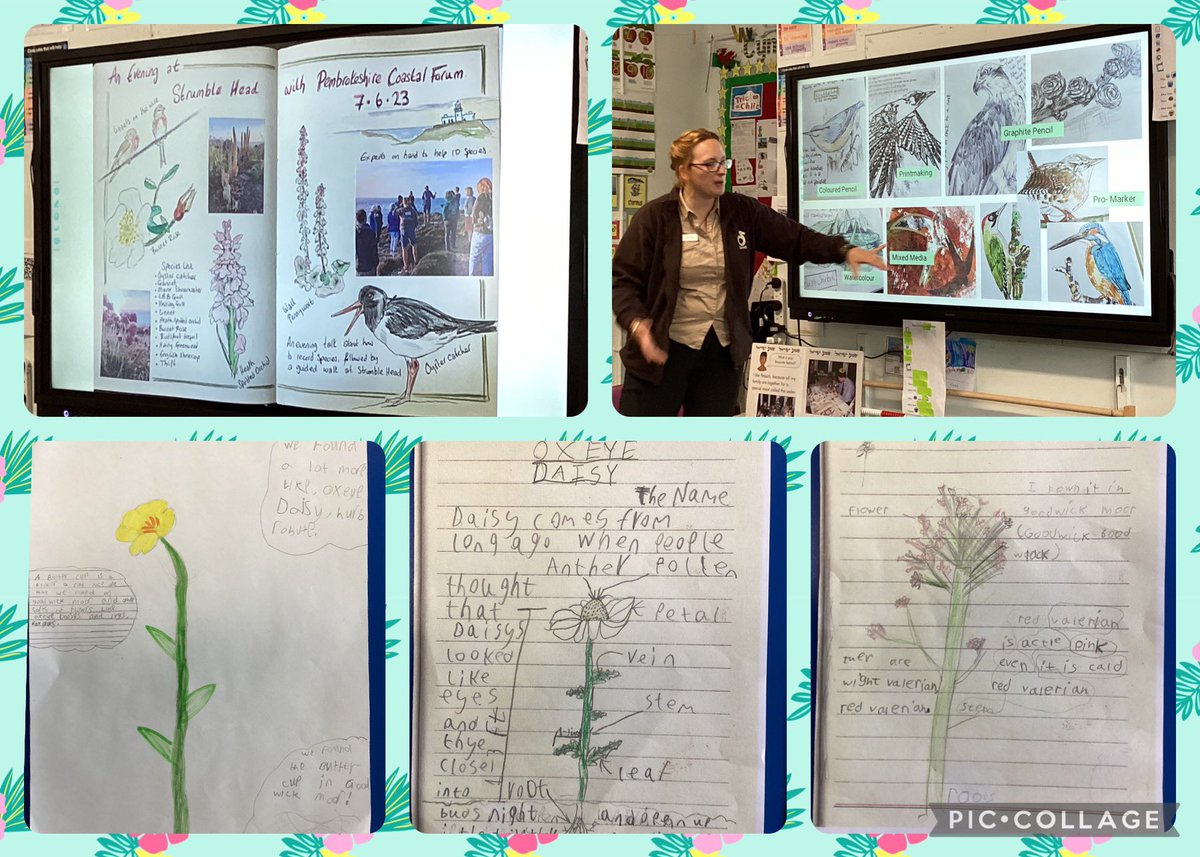 We enjoyed creating our nature journals based on our trip down to the board walk with Mrs King .