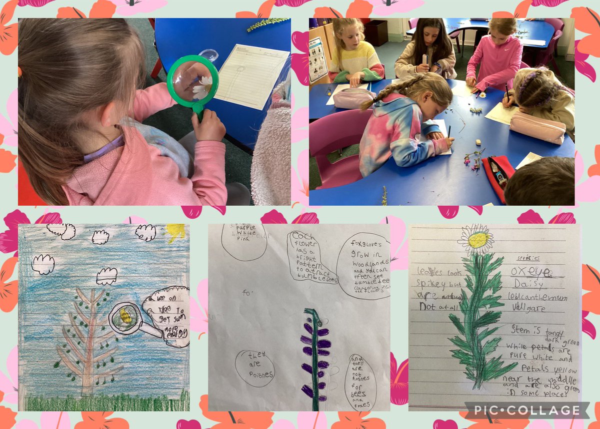 Dosbarth Tri tweet media