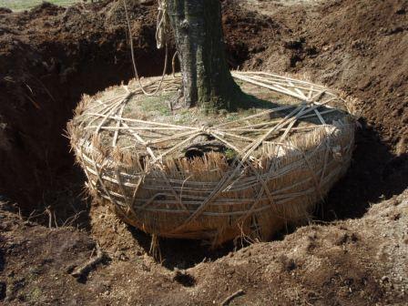 vorotamoroz aka きみのぶ tweet media