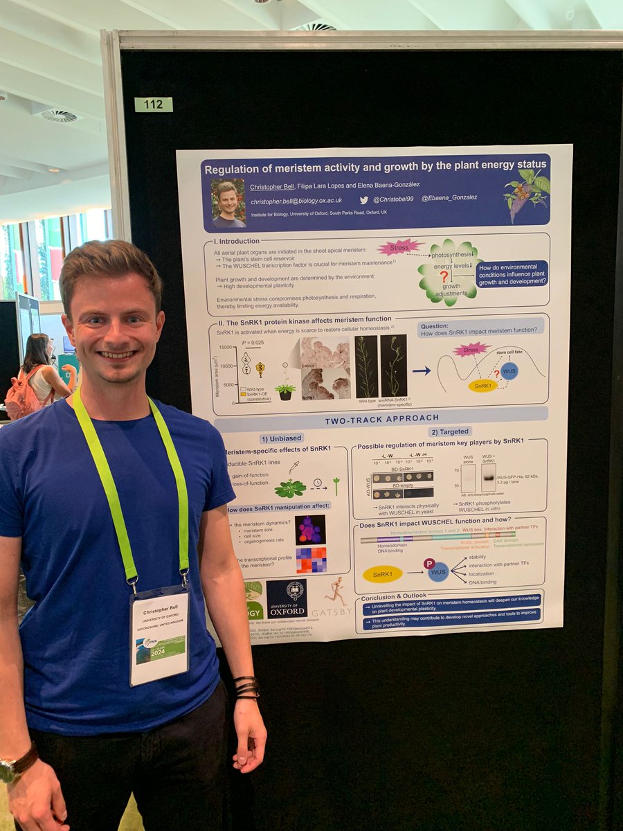 Christobel99's tweet photo. Having an exciting time at the #ipmb2024 in Cairns with cutting-edge talks about plants🌱🌏!

I'm also presenting a poster with my work on meristem dynamics with @EBaena_Gonzalez! https://t.co/UoRfN97umX