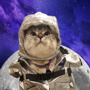 investminter's tweet photo. If this post gets 200 likes, I’ll ape $1.6M into the $MC chart, one clip.

Seems to be a No brainer cook.. @dexscreener first super sender through Moonshot🔥🔥

@Mooncat_CTO 🌕🐱 https://t.co/hl4AYcBZxS