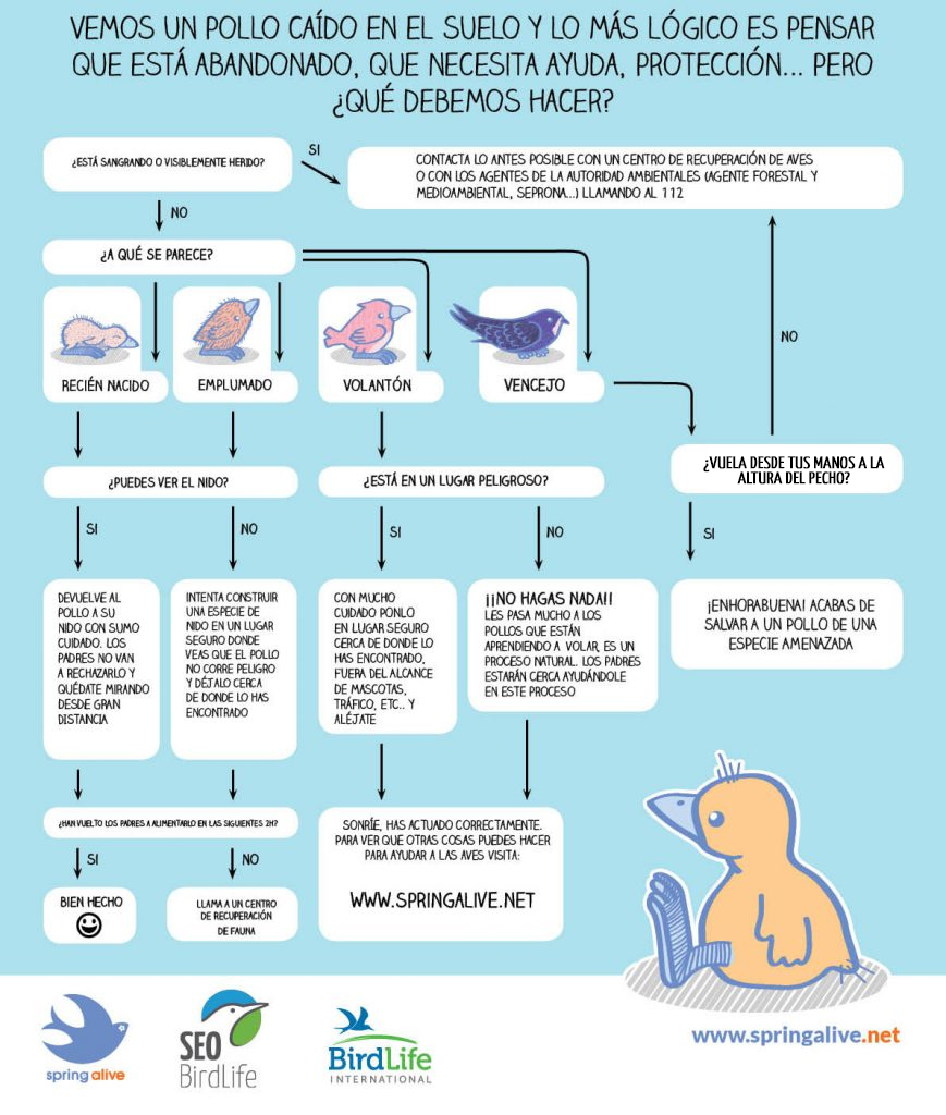 Cuidado de las crías de las aves.
@monlerasayto

#bajotormes #centrointerpretación #monleras #salamanca #spain #arribesdelduero #campocharro #campo #rural #medioambiente♻️ #puebloscastillayleon #pueblo #presaalmendra #pantanoalmendra