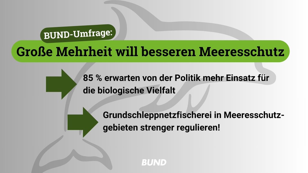 BUND tweet media