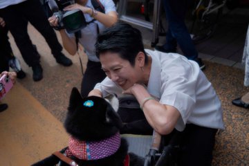 15歳の柴犬ちゃんと私の出会い。