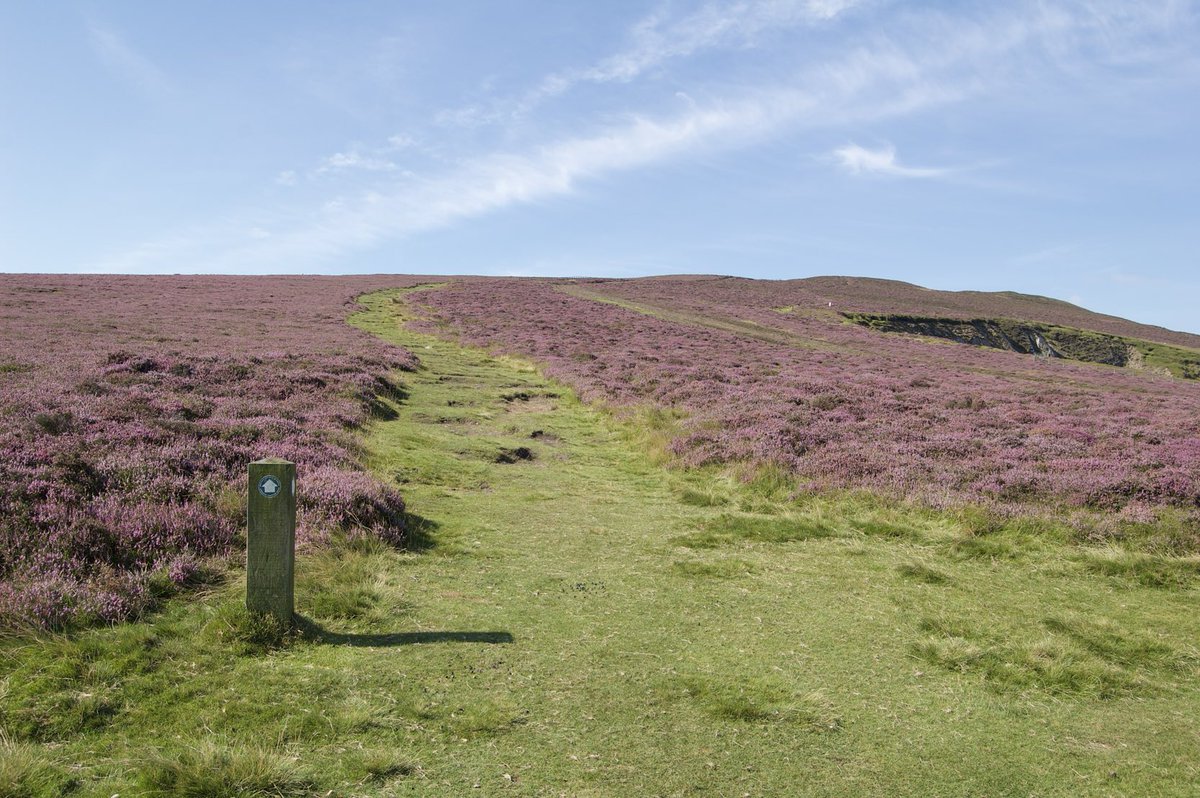 Llangollen Round tweet media