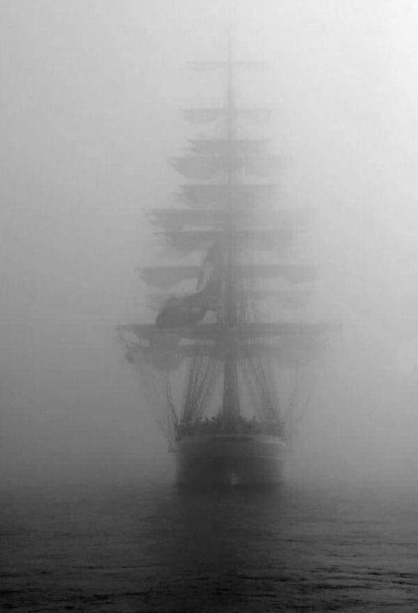 MichelleSchlen6's tweet image. ✅ #preserver
We got this #xrparmy