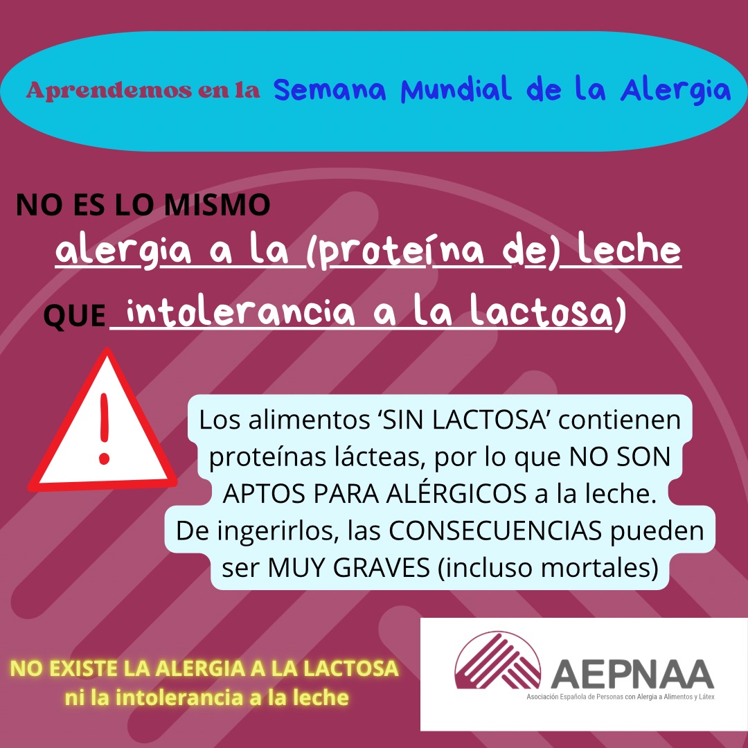 ¿Sabes cuáles son las diferencias entre alergias e intolerancias alimentarias? #SemanaMundialdelaAlergia