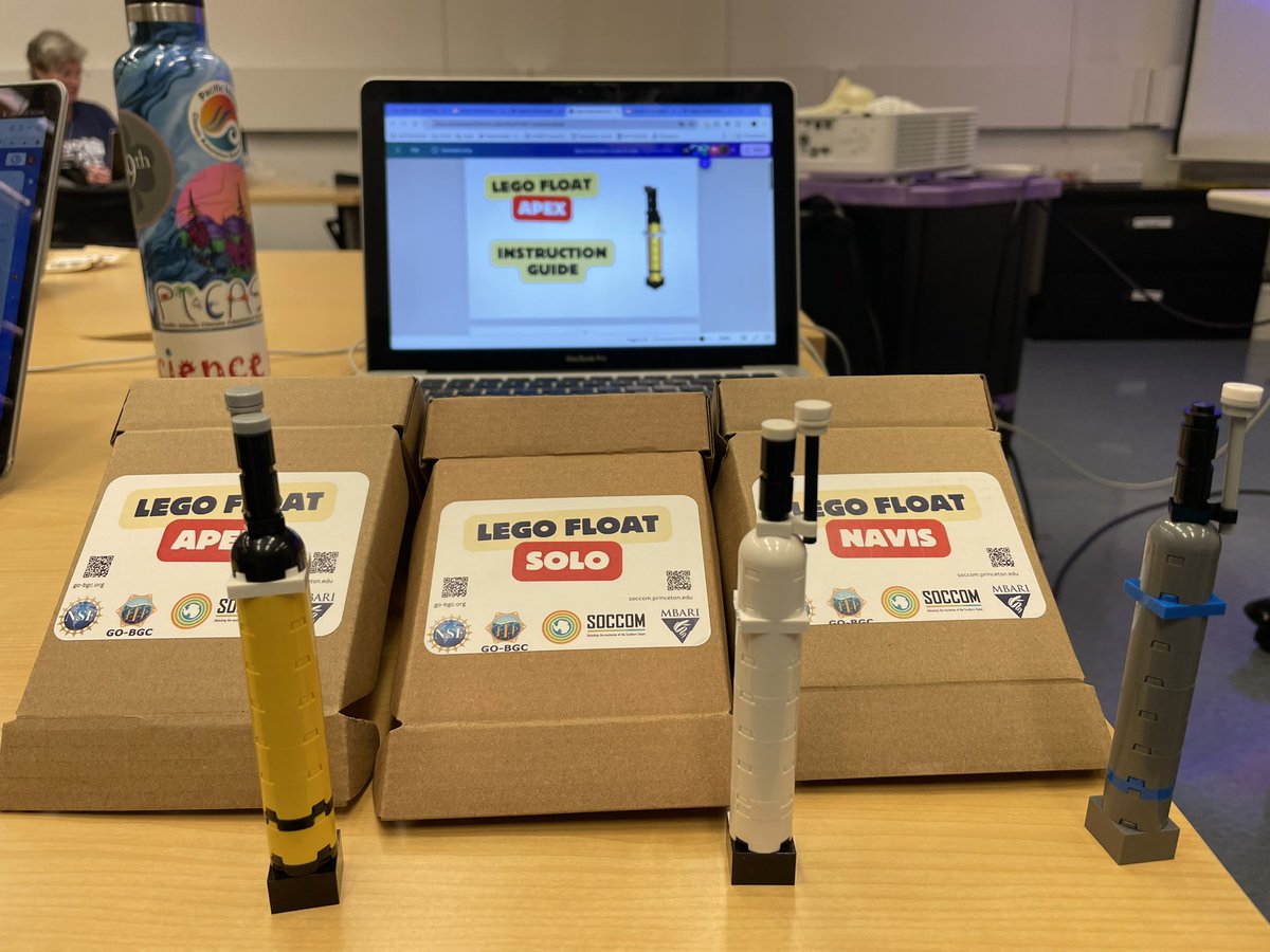 Sta”sea” “Sea”bert🐬🐋🦈🐙🐠🐡🦑 tweet media