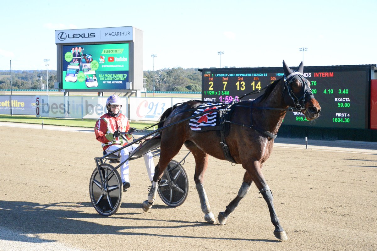 Club Menangle tweet media