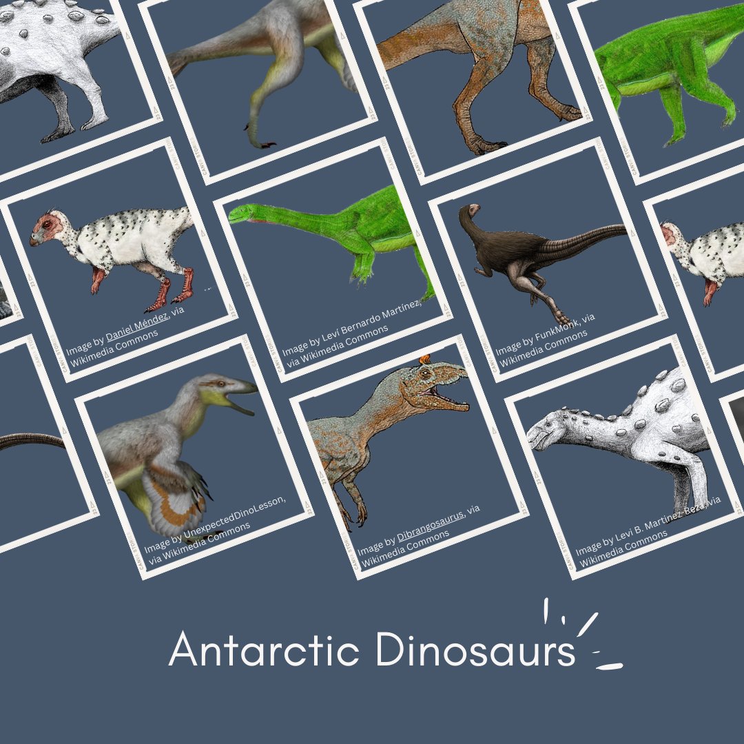 Happy December Solstice (winter solstice in the North and summer solstice in the South)

The season has officially changed and to celebrate, here are all the #dinosaurs that have been found in Antarctica:

We’re also well in to the holiday season, so #HappyHolidays all!