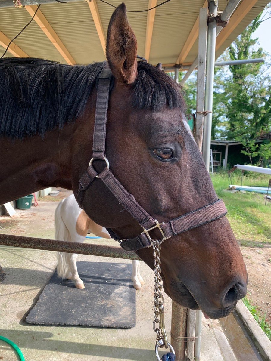 前髪…眉毛の下くらいでって…言ったのになァ…………