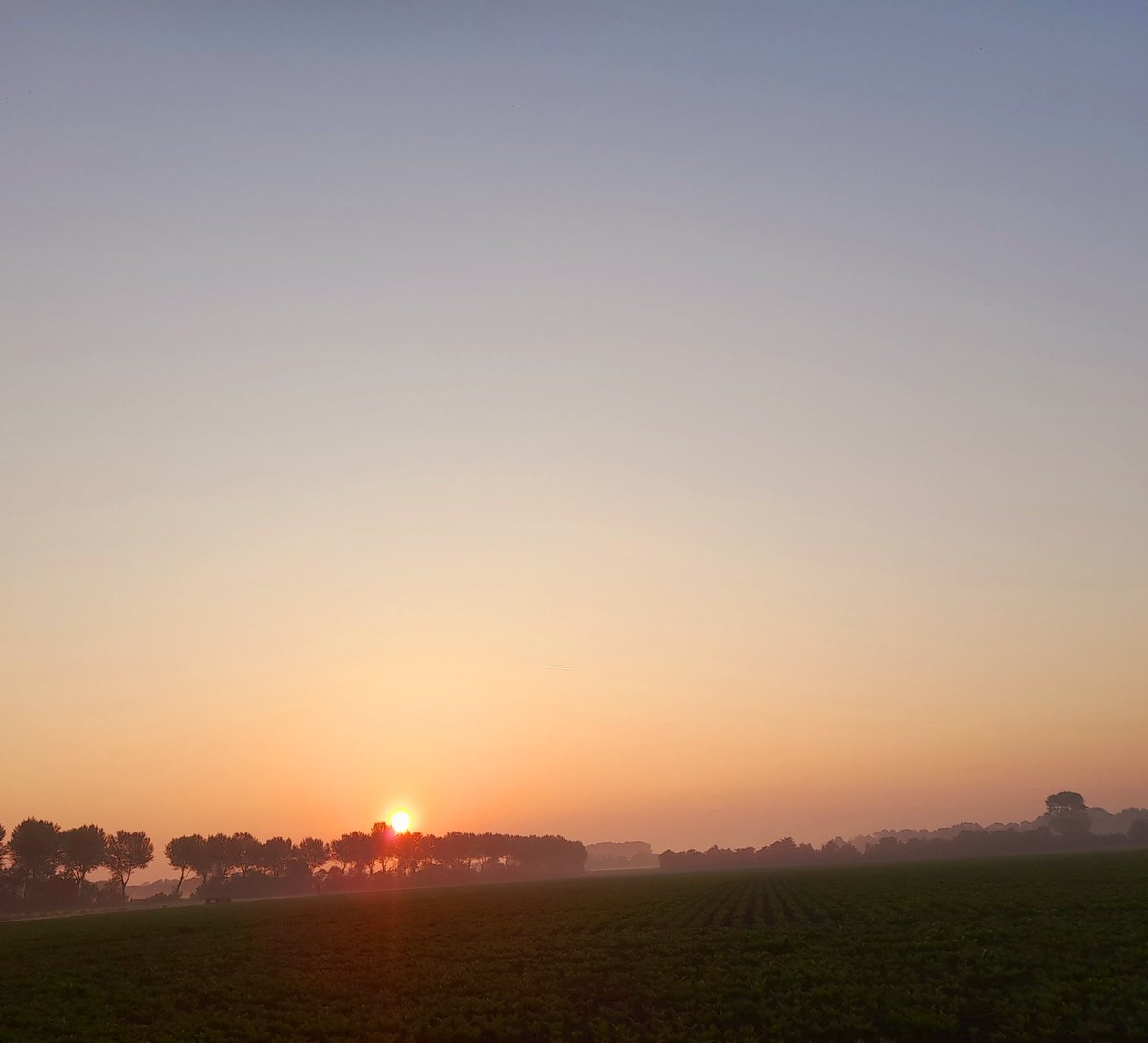 Goedemorgen, geniet van deze prachtige dag!