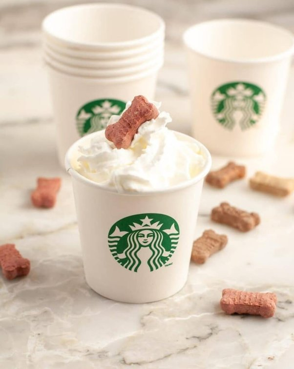 dogdogapp's tweet photo. Dog lovers, rejoice! 🐶 @Starbucks offers the “Puppuccino,” a small cup of whipped cream for your furry friend. Perfect for your next coffee run! #DogFriendly #Starbucks #Puppuccino https://t.co/N4KKg2f0vs