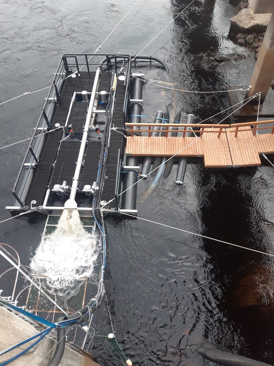 Otimme juhannusaattona Taivalkosken voimalaitoksella jälleen käyttöön hydraulisen #Kalasydän-kalatien. Kesästä 2019 lähtien Taivalkoskella toiminut Kalasydän kuljettaa kalat putkistoa pitkin vaellusesteiden yli. Padon ohittaneita kaloja voi seurata täällä bit.ly/3XBFRVk