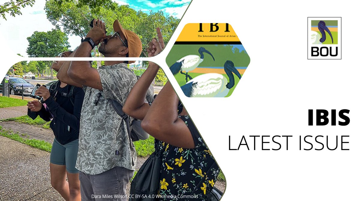 In the LATEST ISSUE of <a href="/IBIS_journal/">BOU 👩🏻‍🏫👨🏿‍🏫🧕🏽👳🏽‍♂️ 🌈</a>

Birds and human health: Pathways for a positive relationship and improved integration | onlinelibrary.wiley.com/doi/abs/10.111…

<a href="/AimeeBGray/">Aimée Gray</a> <a href="/susandoyle44/">Susan Doyle</a> <a href="/CaoimheDoyle9/">Caoimhe Doyle</a> <a href="/j_c_young/">JY</a> <a href="/barryjmcmahon/">Barry John McMahon</a> | #ornithology